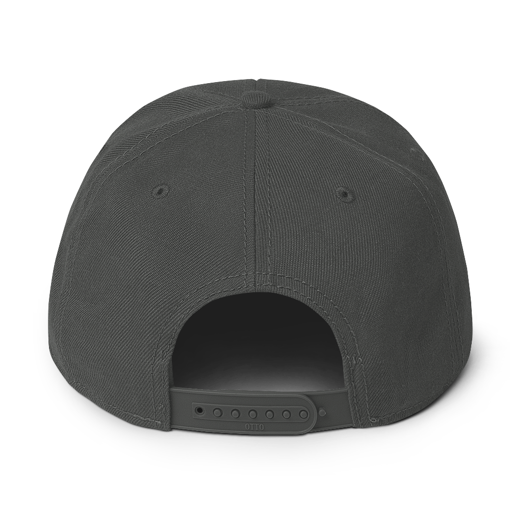 Gray Embroidered Flat Snapback Hat